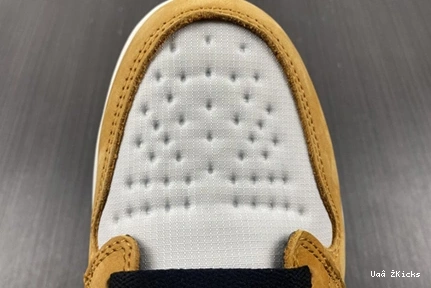 Curry Gore-Tex Jordan Light High DB2889-700 1 Durable Element 172  1031